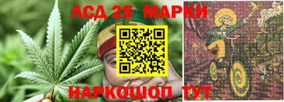 прущие крисы Донецк