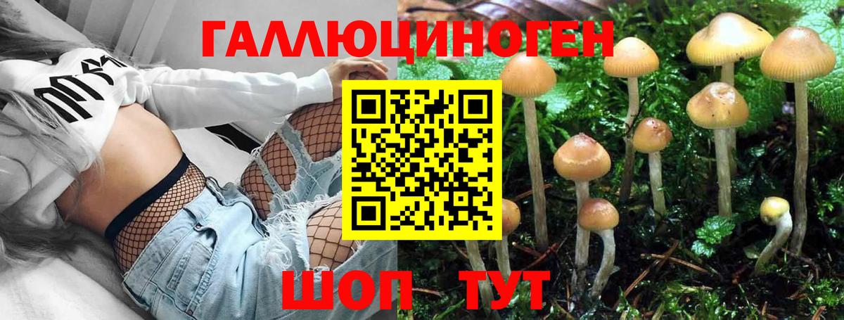 Галлюциногенные грибы Psilocybe  где найти наркотики  Ленинск-Кузнецкий  Вход с VPN 